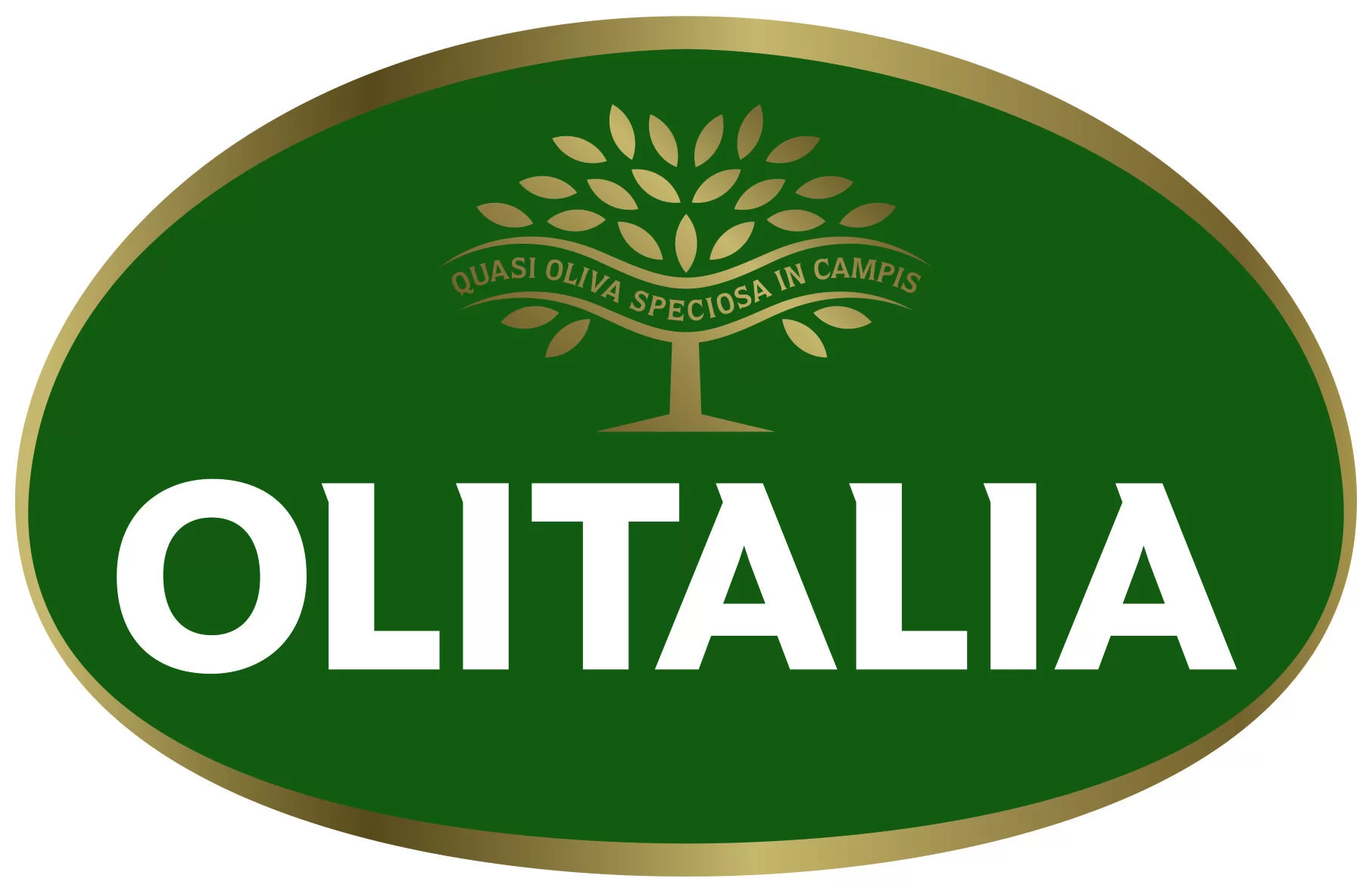 https://cancelloniporteaperte.stagingfattoria.it/wp-content/themes/Divi-Child/assets/img/partners_main/logo-olialia.webp